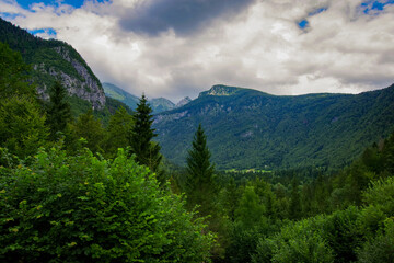 panaromic view in the slovenian alps