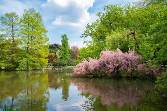 Beautiful urban garden located in Parco Sempione (meaning: Sempione Park) in Milan, Italy. Colorful flowers, trees and white clouds reflecting in the water.