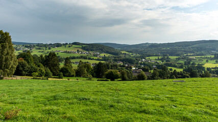 Fototapeta na wymiar Fresh grass on a meadow, next to a forest, in the Belgian Ardennes