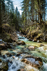mountain river in the forest