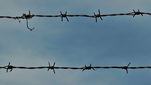 Prison wall. Barbed wire, bricks, concrete and blue sky