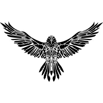 eagle with wings