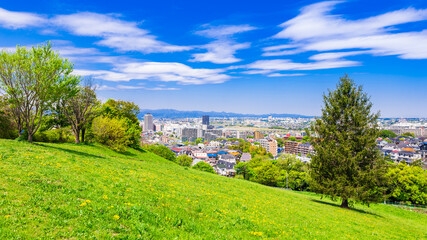 青空が広がる郊外の住宅地