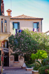 street in the village