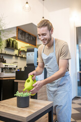 Joyful man in apron watering houseplant in cafe