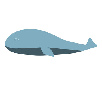 Whale. sperm whale. Animal protection. children's drawing. blue whale gray whale mammal. sea ocean. print. vector eps 10