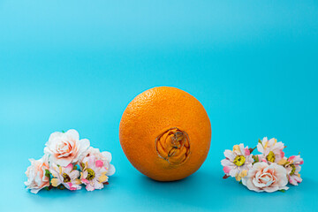 ugly orange and flowers on a blue background. the concept of care and prevention of proctological...