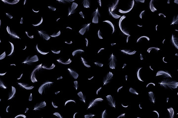 Feather flat. White pastel angel feather closeup texture falling on dark background in pattern photography. Fashion color trends spring summer.