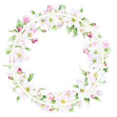 Round floral spring frame of the pink apple flowers and green leaves hand drawn in watercolor isolated on a white background. Floral watercolor illustration.