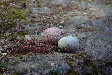 Egg-shaped decorative garden stones laying on rock in vague spring sunlight surrounded with moss, dead flowers and pine needles