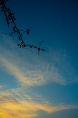 Dusky Sky