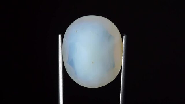 natural opal gemstone in the tweezer on the background