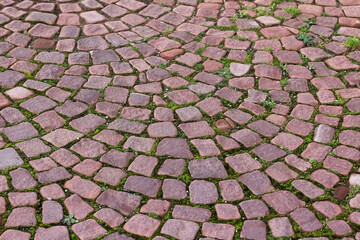Strassenpflaster mit roten viereckigen Steinen
