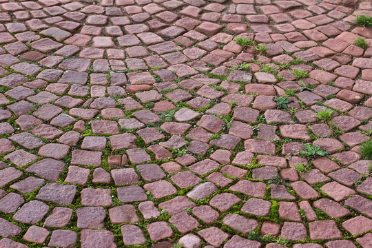 Strassenpflaster mit roten viereckigen Steinen