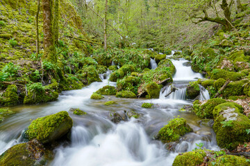 Green-Waterfall-River-rocks-covered-with-green-moss-Forest-Waterfall. deep forest at center of the forest with a waterfall. quiet and pleasant environment for tourism. very deep forest area
