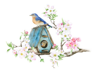 Fototapety  A bird house placed on a blooming apple branch and a pair of the birds hand drawn in watercolor isolated on a white background. Watercolor illustration. Apple blossom. Spring watercolor illustration 