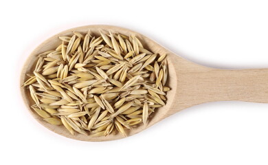 Unpeeled oat grains, groats pile in wooden spoon isolated on white background, top view
