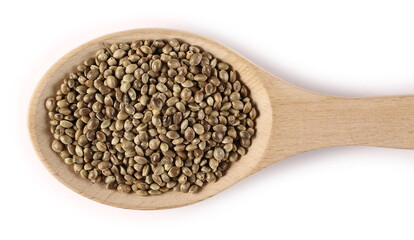 Hemp seeds in wooden spoon isolated on white background, top view