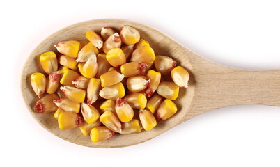 Corn grains, kernels in wooden spoon isolated on white background, top view