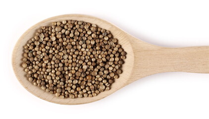 Coriander seeds in wooden spoon isolated on white background, top view