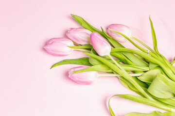 Bouquet of gentle pink tulips on pastel rosy color background