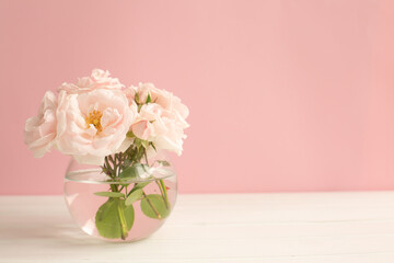 Tender light garden roses in a transparent vase on pink pastel background.