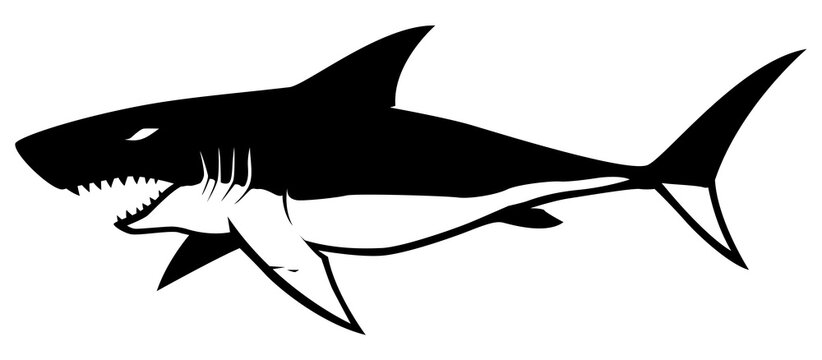 black and white shark with open mouth clip art preview