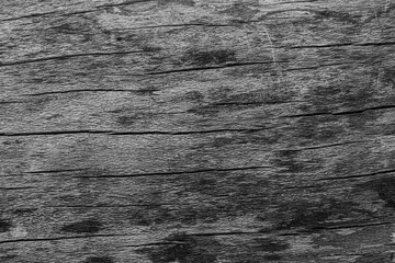 Fototapeta premium black ans white old wood texture