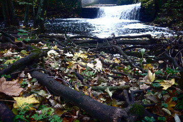 Week end au bord de l'eau, cascade 