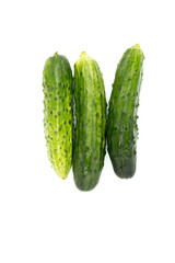 three Fresh green cucumbers isolataed on white background