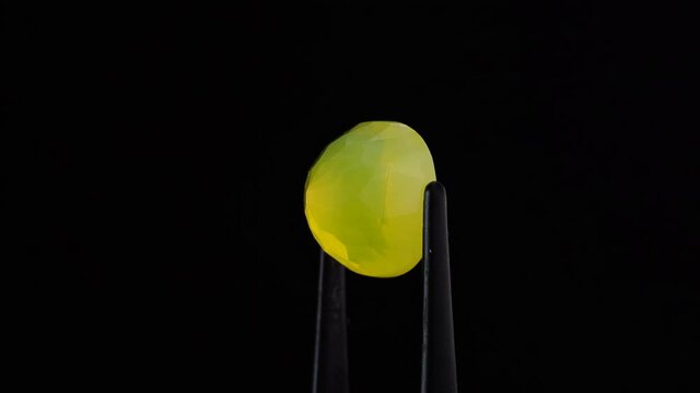 natural yellow fire opal gemstone in the tweezer on the background