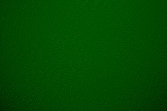 image of green leather background 