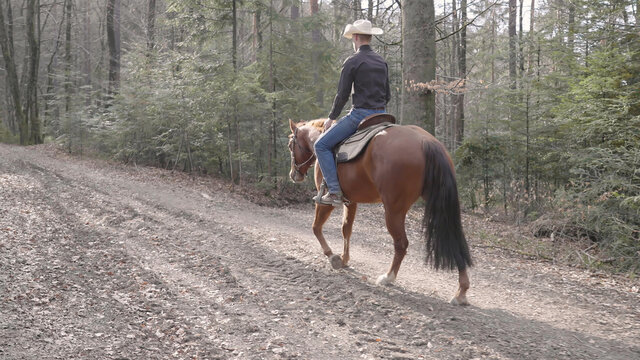 Cowboy riding horse on forest trail under the sun