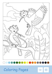 Colorless contour image of a couple of hoopoes in a wood and suggested palette. Wild birds preschool kids coloring book vector illustrations