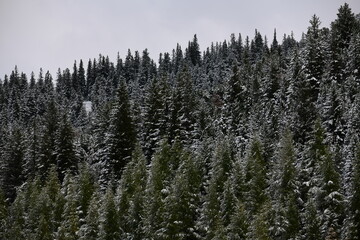 snow covered mountains in Europe