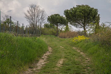 frühlingslandschaft bei westhofen