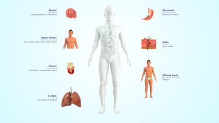 Heart Attack Symptoms
