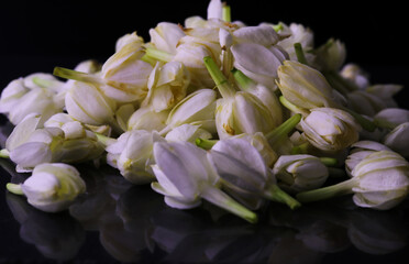 White jasmine flowers on flore