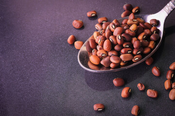 Dried Red beans or kidney beans in the steel spoon on dark background. top view.