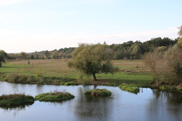 lake in the park