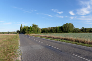 Country road in Ile-De-France region.  Noyen-sur-Seine village