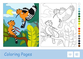 Colorful illustration of two hoopoes in a wood colorless linear duplicate. Fun and learning of ornitology for kids