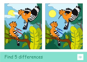 Find five differences quiz children game with image of two hoopoes in a wood. Wild birds preschool kids illustrations and developmental activity
