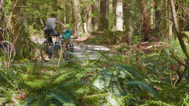 Happy family on mountain bikes on an evergreen forest bike path, no faces. 4K 24FPS