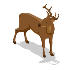 Isometric deer vector illustration. Proud Noble Deer male isolated on white background