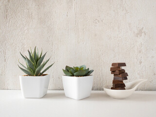 スプーンに乗ったチョコレートと多肉植物 