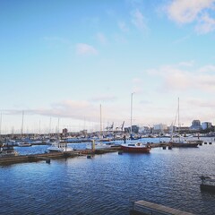 Fototapeta na wymiar Yachts in Port of Copenhagen (Denmark)