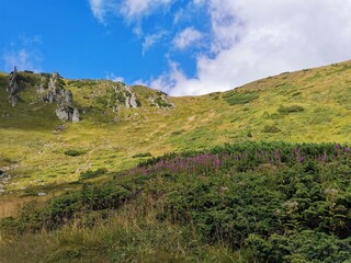 landscape with sky