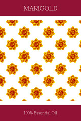 Essential oil banner or label. Marigold essential oil. Seamless, scalable marigold pattern. Cosmetics packaging design. Template on the theme of aromatherapy.