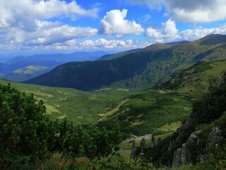 Fototapeta premium landscape in summer